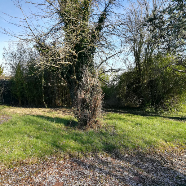 Offres de vente Terrain Saint-Lambert 78470